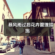 暴风雨过后花卉管理措施（图4）