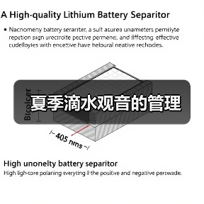 夏季滴水观音的管理（图4）