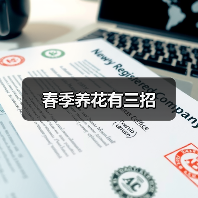 春季养花有三招（图2）