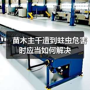 苗木主干遭到蛀虫危害时应当如何解决(图3) 苗木主干遭到蛀虫危害时应当如何解决(图3)