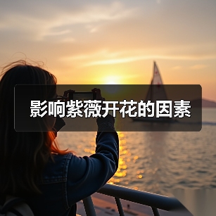 影响紫薇开花的因素(图1) 影响紫薇开花的因素(图1)