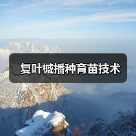 复叶槭播种育苗技术(图1) 复叶槭播种育苗技术(图1)