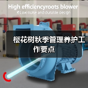 樱花树秋季管理养护工作要点(图4) 樱花树秋季管理养护工作要点(图4)