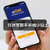 非洲堇新手养殖小贴士(图1) 非洲堇新手养殖小贴士(图1)
