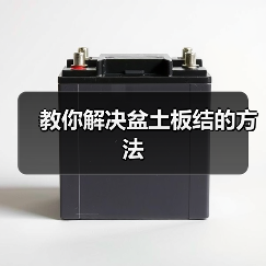 教你解决盆土板结的方法(图1) 教你解决盆土板结的方法(图1)