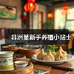 非洲堇新手养殖小贴士(图4) 非洲堇新手养殖小贴士(图4)