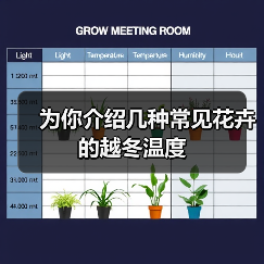为你介绍几种常见花卉的越冬温度(图1) 为你介绍几种常见花卉的越冬温度(图1)
