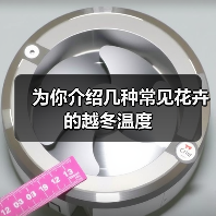 为你介绍几种常见花卉的越冬温度(图3) 为你介绍几种常见花卉的越冬温度(图3)