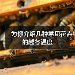 为你介绍几种常见花卉的越冬温度(图2) 为你介绍几种常见花卉的越冬温度(图2)