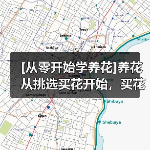 [从零开始学养花]养花从挑选买花开始，买花的7个要点原则总结（图1）