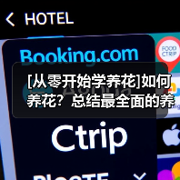 [从零开始学养花]如何养花？总结最全面的养花八个误区（图1）