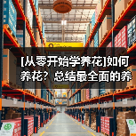 [从零开始学养花]如何养花？总结最全面的养花八个误区（图2）