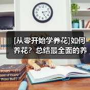 [从零开始学养花]如何养花？总结最全面的养花八个误区（图3）