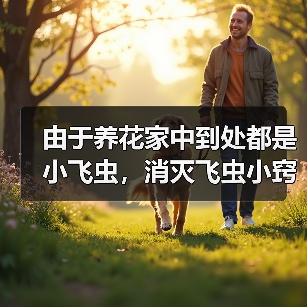 由于养花家中到处都是小飞虫，消灭飞虫小窍门有哪些（图3）