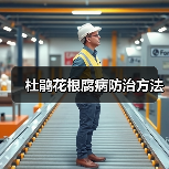杜鹃花根腐病防治方法（图3）