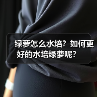 绿萝怎么水培?如何更好的水培绿萝呢?(图1) 绿萝怎么水培?如何更好的水培绿萝呢?(图1)