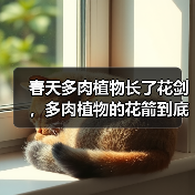 春天多肉植物长了花剑，多肉植物的花箭到底要不要剪？（图4）