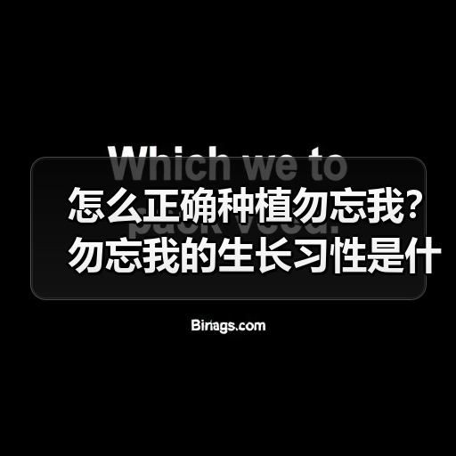 怎么正确种植勿忘我?勿忘我的生长习性是什么?(图1) 怎么正确种植勿忘我?勿忘我的生长习性是什么?(图1)