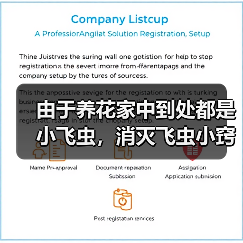 由于养花家中到处都是小飞虫，消灭飞虫小窍门有哪些（图2）