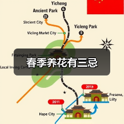 春季养花有三忌（图4）