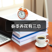 春季养花有三忌（图2）