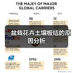 盆栽花卉土壤板结的原因分析(图2) 盆栽花卉土壤板结的原因分析(图2)