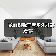 龙血树截干后多久才能发芽(图1) 龙血树截干后多久才能发芽(图1)