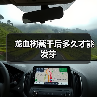 龙血树截干后多久才能发芽(图2) 龙血树截干后多久才能发芽(图2)