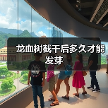 龙血树截干后多久才能发芽(图4) 龙血树截干后多久才能发芽(图4)