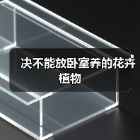 决不能放卧室养的花卉植物（图2）
