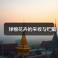 球根花卉的采收与贮藏(图1) 球根花卉的采收与贮藏(图1)