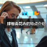 球根类花卉的特点介绍(图3) 球根类花卉的特点介绍(图3)