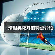 球根类花卉的特点介绍(图1) 球根类花卉的特点介绍(图1)