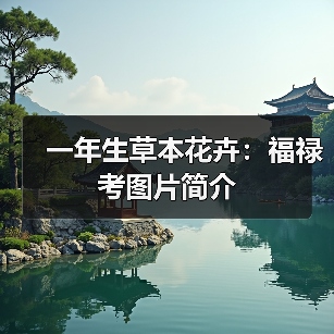 一年生草本花卉:福禄考图片简介(图3) 一年生草本花卉:福禄考图片简介(图3)