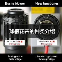 球根花卉的种类介绍(图3) 球根花卉的种类介绍(图3)