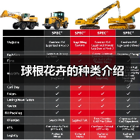 球根花卉的种类介绍(图2) 球根花卉的种类介绍(图2)