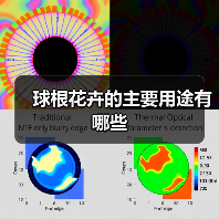 球根花卉的主要用途有哪些（图4）