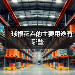 球根花卉的主要用途有哪些（图1）