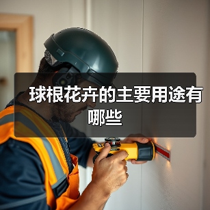 球根花卉的主要用途有哪些（图2）