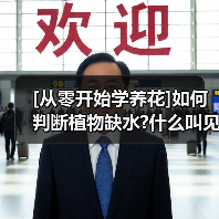 [从零开始学养花]如何判断植物缺水?什么叫见干见湿?三分钟学会浇花方法（图3）