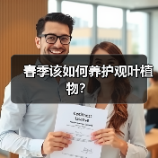 春季该如何养护观叶植物?(图4) 春季该如何养护观叶植物?(图4)
