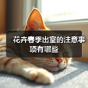花卉春季出室的注意事项有哪些(图4) 花卉春季出室的注意事项有哪些(图4)