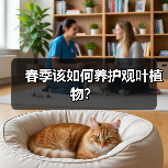 春季该如何养护观叶植物?(图2) 春季该如何养护观叶植物?(图2)