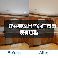 花卉春季出室的注意事项有哪些(图1) 花卉春季出室的注意事项有哪些(图1)