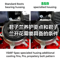 君子兰养护要点和君子兰开花需要具备的条件,你都需要注意这些(图1) 君子兰养护要点和君子兰开花需要具备的条件,你都需要注意这些(图1)