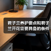 君子兰养护要点和君子兰开花需要具备的条件,你都需要注意这些(图3) 君子兰养护要点和君子兰开花需要具备的条件,你都需要注意这些(图3)