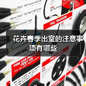 花卉春季出室的注意事项有哪些(图2) 花卉春季出室的注意事项有哪些(图2)