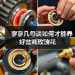 寥寥几句谈如何才能养好盆栽玫瑰花（图4）
