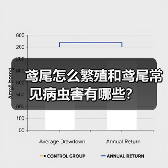 鸢尾怎么繁殖和鸢尾常见病虫害有哪些?(图4) 鸢尾怎么繁殖和鸢尾常见病虫害有哪些?(图4)