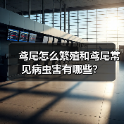 鸢尾怎么繁殖和鸢尾常见病虫害有哪些?(图2) 鸢尾怎么繁殖和鸢尾常见病虫害有哪些?(图2)